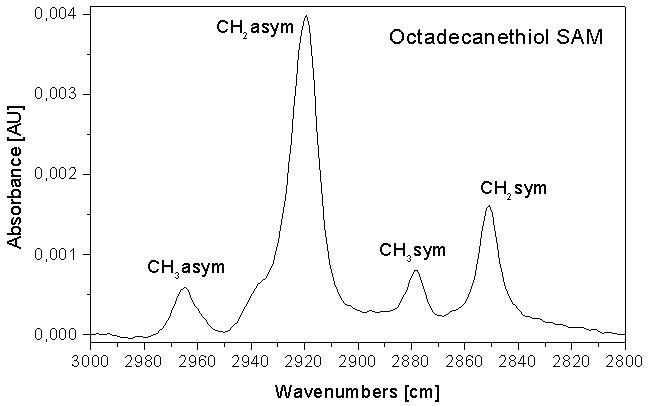 C18H37SH/Au(111)